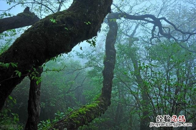 到这10个最佳旅游胜地 7月去哪里旅游合适