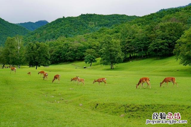 到这10个最佳旅游胜地 7月去哪里旅游合适