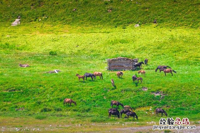 到这10个最佳旅游胜地 7月去哪里旅游合适