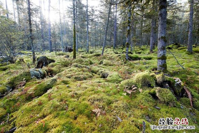 到这10个最佳旅游胜地 7月去哪里旅游合适