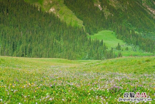 到这10个最佳旅游胜地 7月去哪里旅游合适