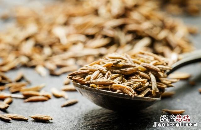 茴香与孜然有什么不同 小茴香是什么样的图片