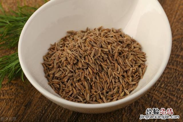 茴香与孜然有什么不同 小茴香是什么样的图片