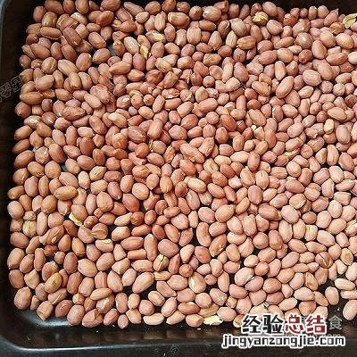 自制超级香浓花生酱最正宗的做法 花生酱怎么做才好吃