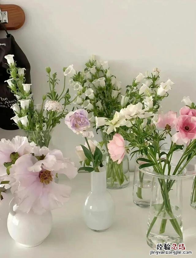 和姐妹约会发朋友圈的文案 姐妹相聚的朋友圈说说