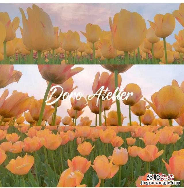 洛阳值得去的十大景点 洛阳的旅游景点最著名的地方是什么