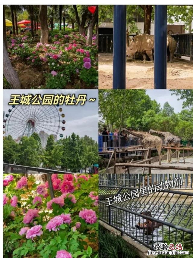 洛阳值得去的十大景点 洛阳的旅游景点最著名的地方是什么