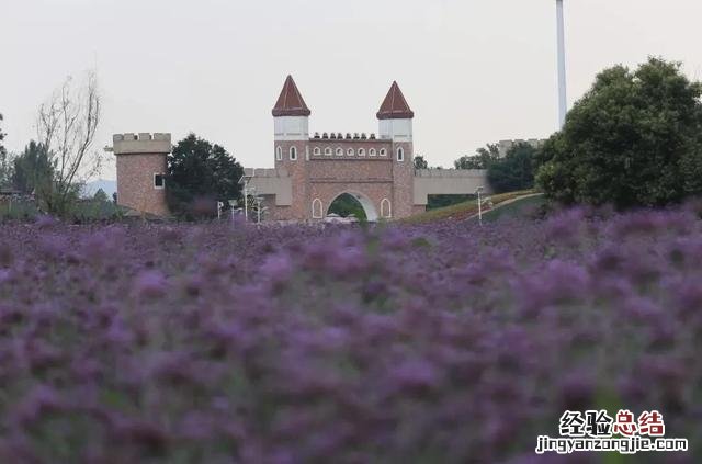 洛阳值得去的十大景点 洛阳的旅游景点最著名的地方是什么