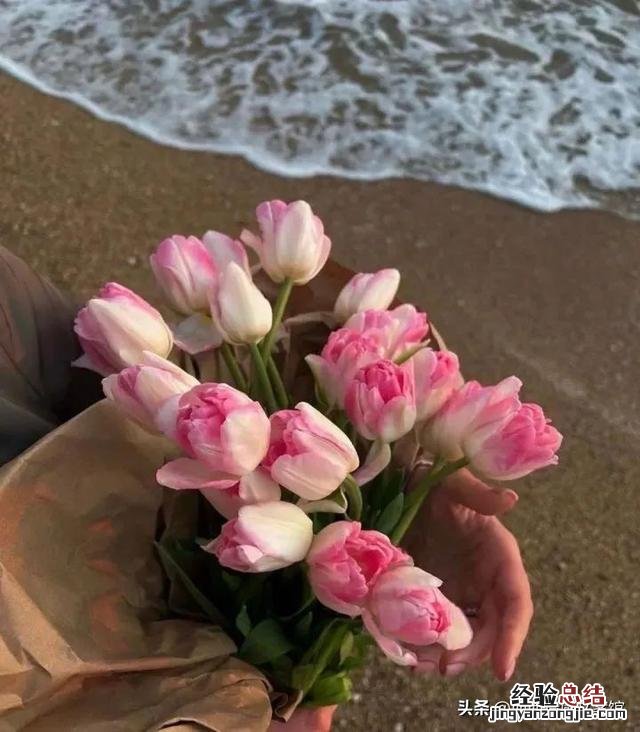 表达对未来充满希望的文案 对未来美好的期许和憧憬的文案