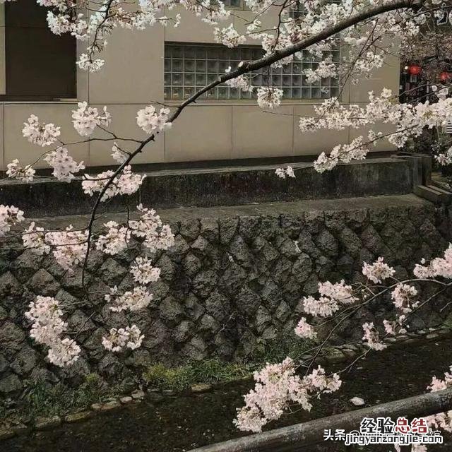 表达对未来充满希望的文案 对未来美好的期许和憧憬的文案