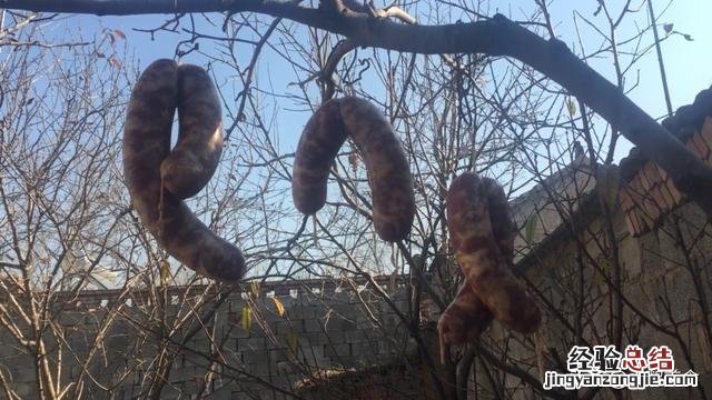 灌香肠的正宗配方都放什么调料 灌肠怎么做好吃又简单的方法