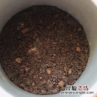 最正宗芝士蛋糕最简单的做法 怎么做芝士蛋糕最简单