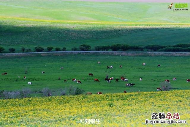 内蒙这7条最美草原自驾路线 内蒙古自驾游最佳路线图