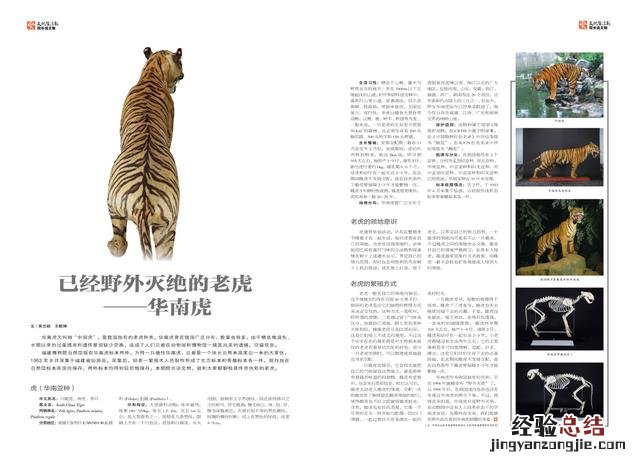 了解馆藏华南虎标本背后的故事 中国自然标本馆文献引用