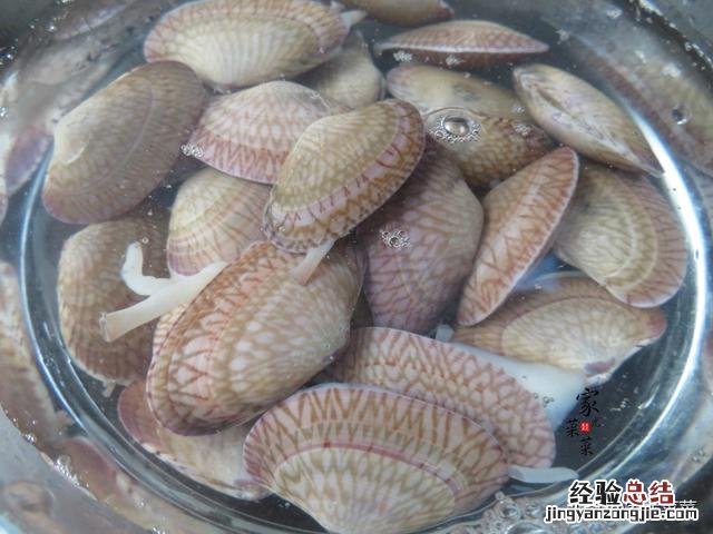 试试这种夏天的家常汤做法 花甲汤怎么做才鲜简单