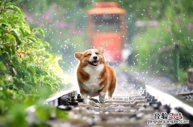 适合下雨天发朋友圈的文案 下雨天吸引人的朋友圈文案