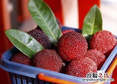 洗杨梅别只知道放食盐 杨梅怎么洗才能洗干净