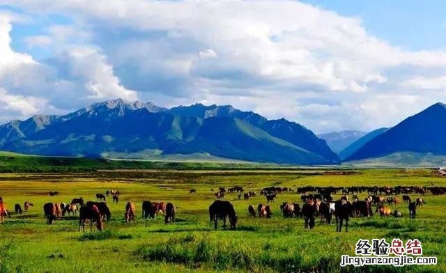 甘肃15个最值得去的旅游景点 甘肃旅游攻略必去景点大全推荐