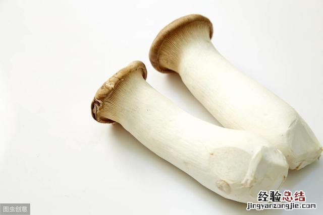 带你了解七种常见食用菌含烹饪方法 食用菌种类名称及图片