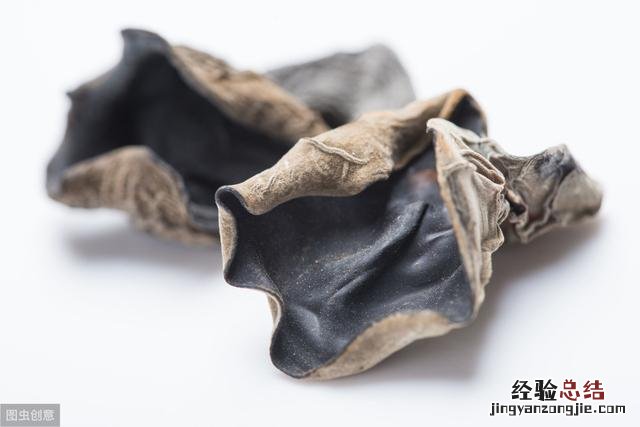 带你了解七种常见食用菌含烹饪方法 食用菌种类名称及图片