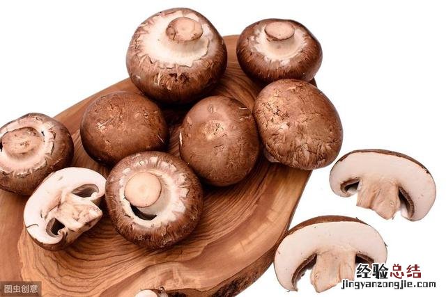 带你了解七种常见食用菌含烹饪方法 食用菌种类名称及图片