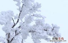 下雪了发朋友圈的句子简单温暖 下雪的暖心说说朋友圈