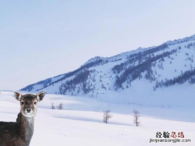 新晋网红APP醒图使用教程 醒图抠图教程怎么留背景