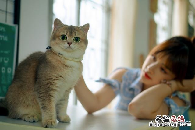 这10个摄影技巧帮你 拍照怎么拍的好看