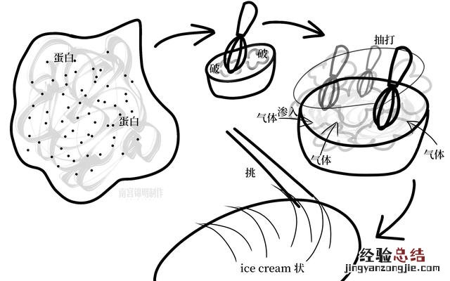 鸡蛋清为啥能打成奶油状 蛋清打发是奶油吗怎么做