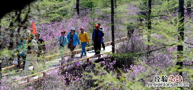 小兴安岭什么季节去旅游最好 小兴安岭的图片