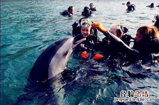 三亚潜水旅游攻略自由行 三亚潜水攻略大全