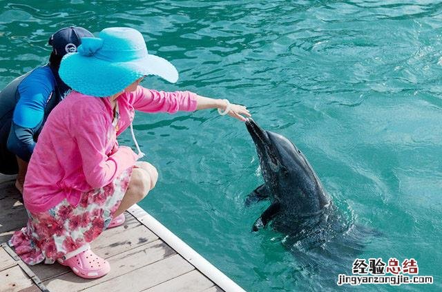 三亚潜水旅游攻略自由行 三亚潜水攻略大全