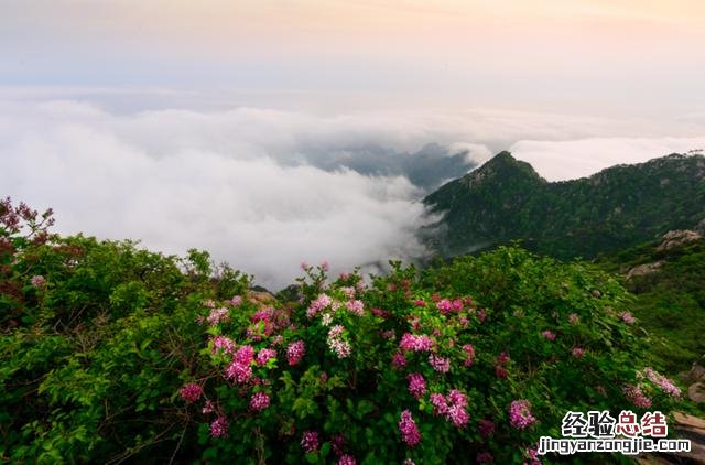 夜爬泰山做好这些准备 夜爬泰山攻略游玩攻略