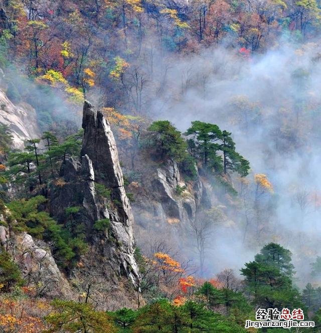到底几月来黄山风景区能看到最美的秋景 黄山一日游攻略
