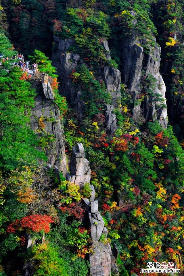到底几月来黄山风景区能看到最美的秋景 黄山一日游攻略