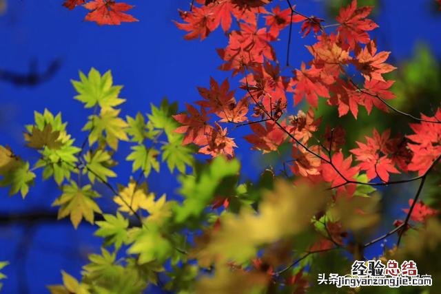 一张手绘地图全搞定 大理苍山一日游攻略推荐路线