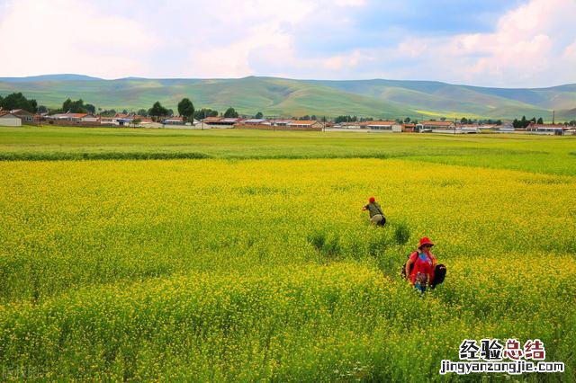 一年12个月最佳旅行地推荐 旅游景点攻略