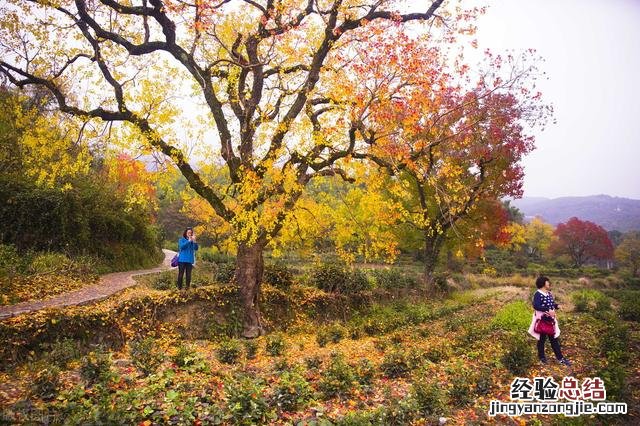 一年12个月最佳旅行地推荐 旅游景点攻略