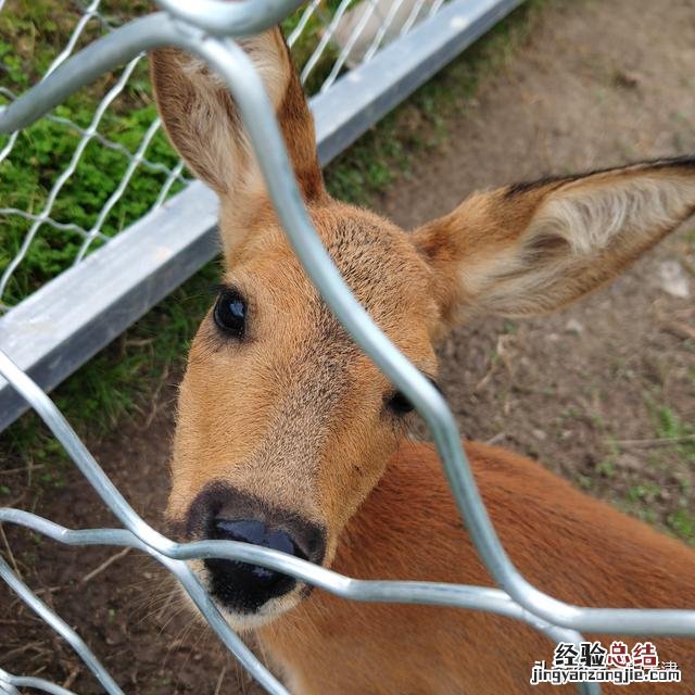 如何来一次说走就走的长白山之旅 长白山旅行攻略