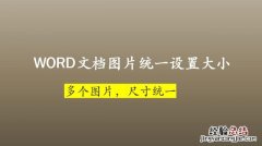 word怎么调整图片大小尺寸 word统一调整图片尺寸