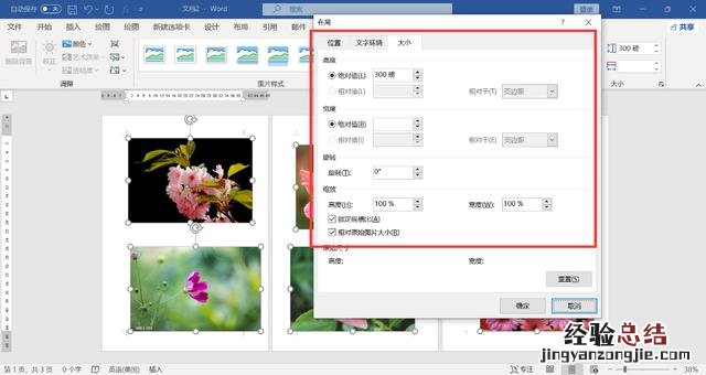 word怎么调整图片大小尺寸 word统一调整图片尺寸