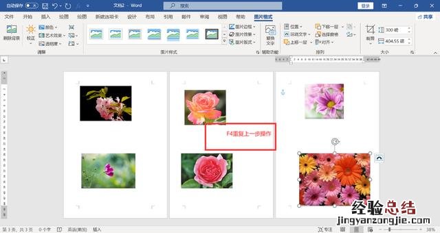 word怎么调整图片大小尺寸 word统一调整图片尺寸