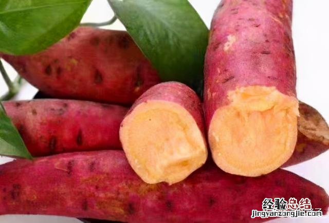 楼房红薯保存的最好方法 红薯的储存方法家里