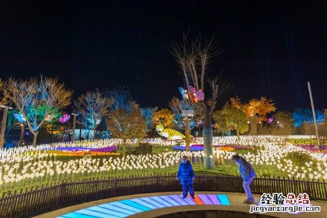 春节到东平大宋不夜城怎么玩 东平湖旅游攻略一日游