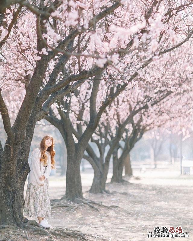 这5个人像摄影技巧 人像虚化拍摄方法技巧