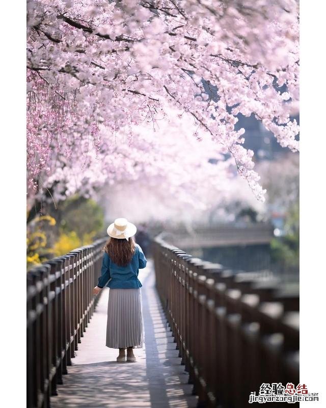 这5个人像摄影技巧 人像虚化拍摄方法技巧