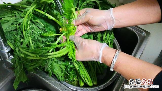 雪里蕻最好吃腌法 雪里蕻怎么做好吃