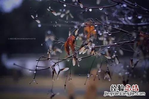 关于烟雨天的唯美短句 雨天心情的唯美短语