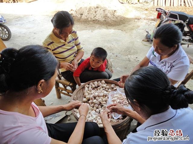 大蒜快速剥皮的小妙招 剥蒜最快的方法