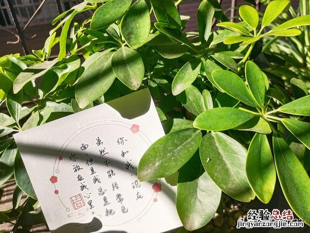 闺蜜文案温柔高级走心简短 高级又沙雕的闺蜜文案简短